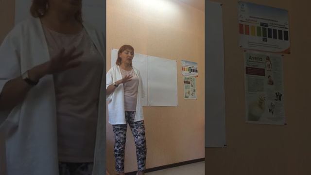 Школа для начинающего 1 смотреть онлайн