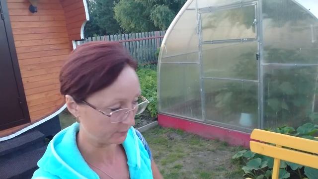 Видео привет с 6 соток 2 августа 2022 год. greetings from the garden смотреть онлайн