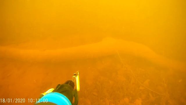 Подводная охота на канале имени Москвы.#5 смотреть онлайн