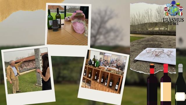 Teaser: Swot at Luís Pato Winery (Mister Baga) смотреть онлайн