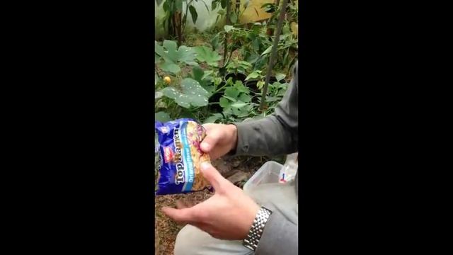 Best way to catch rats get rid of rat quickest method смотреть онлайн