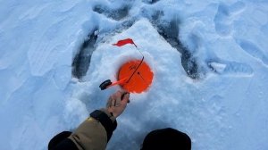 Озеро Черталы,Контрольный выезд на Жерлицы .Омская Область