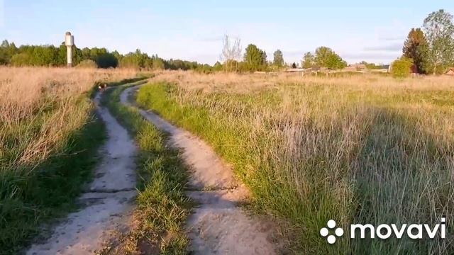 Лягушки в пруду,кочки в поле. смотреть онлайн