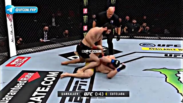 ANKALAEV VS CUTELABA🔥ufc.coub смотреть онлайн