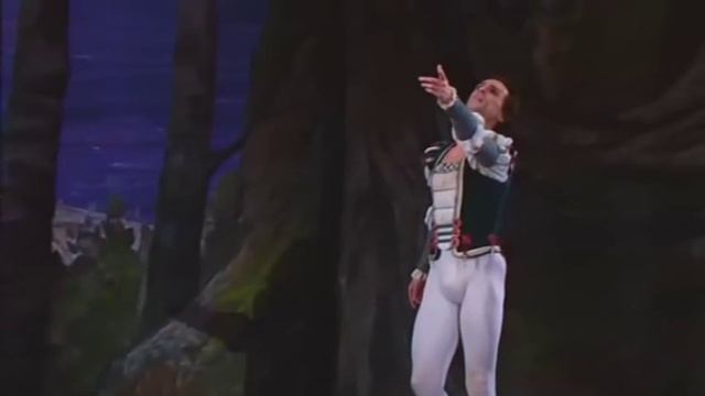Swan Lake - Tchaikovsky (480p)