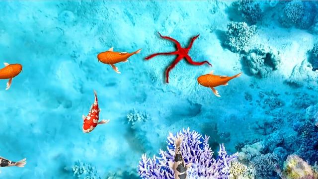 CAT GAMES - ? Catching Fish Aquarium. Video For Cats Only. Relax TV