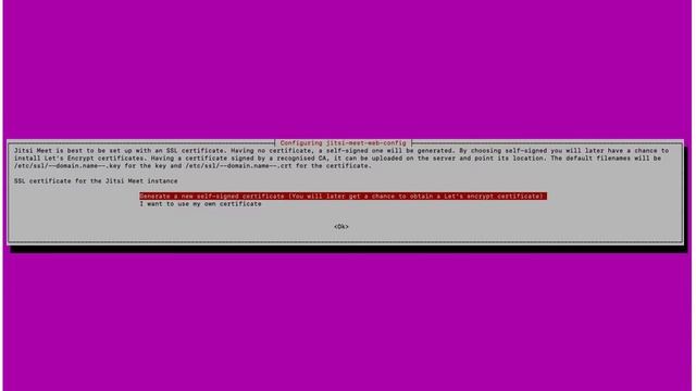 Install Jitsi Meet On Ubuntu Server 18.04 | #Digital Ocean #OpenSource | #StayHome and Learn #WithM смотреть онлайн