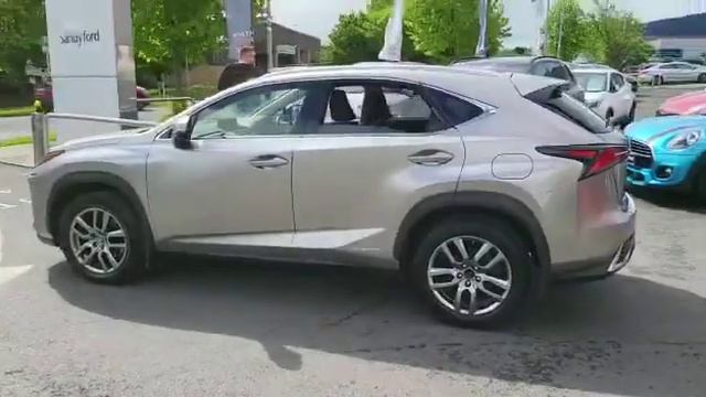2019 Lexus NX300H Premium AWD Hybrid #toyotasandyford #thehomeofhybridelectric