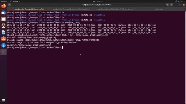 Using pre build image to plot JSON samples from the Container Profiler смотреть онлайн