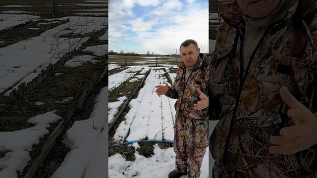 Обрезка малины, уход за саженцами, удобрения, клубника смотреть онлайн