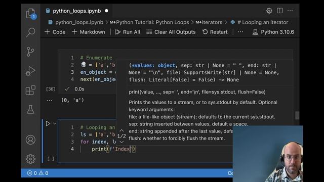 Python Loops | jcchouinard.com смотреть онлайн