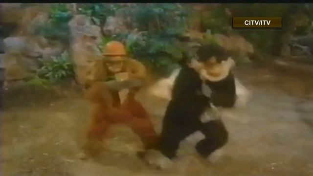 Jungle Run | Lost Game Shows смотреть онлайн