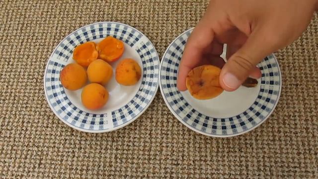 Заготовка косточек абрикоса сезона 2018 смотреть онлайн