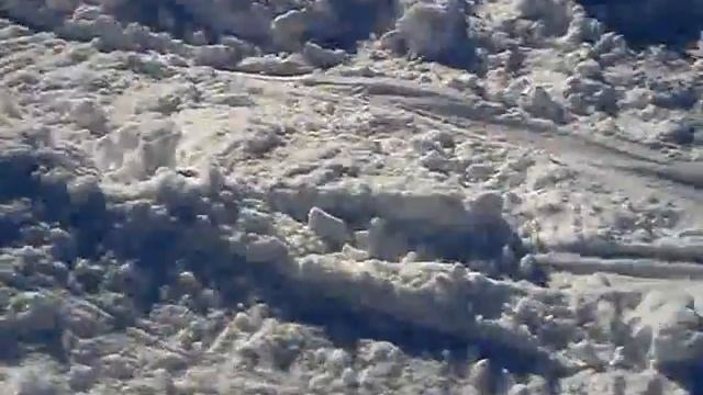 Artic cat смотреть онлайн