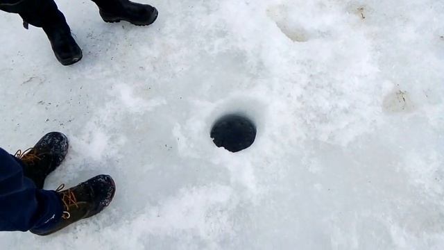 На рыбалку！Зимняя рыбалка на Аляске смотреть онлайн