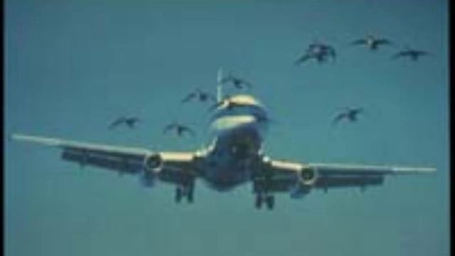 Sully US Air Hudson Crash смотреть онлайн
