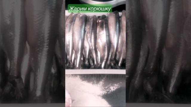 Вот и наступил тот короткий период когда можно полакомиться корюшкой. смотреть онлайн