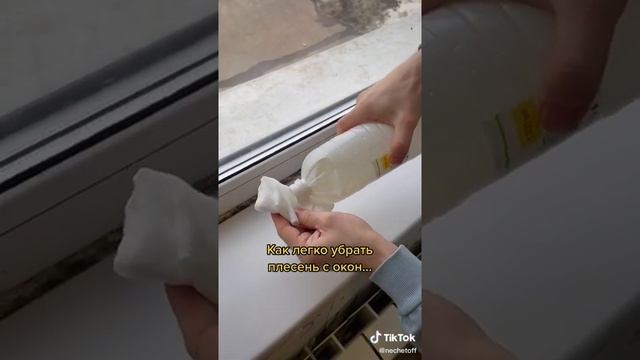 Как убрать плесень из окон смотреть онлайн