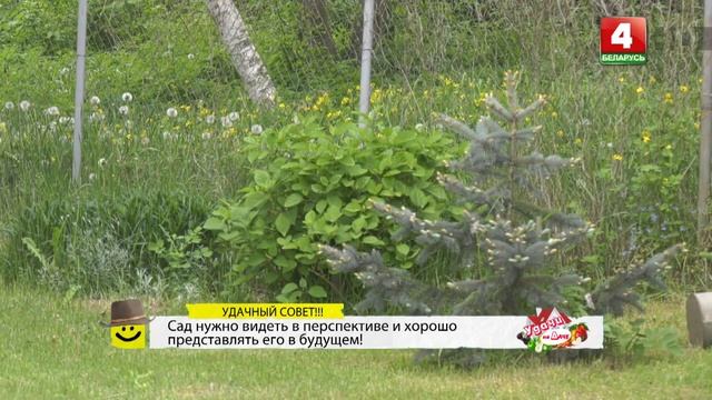 Удачи на даче (18.06.2020) смотреть онлайн