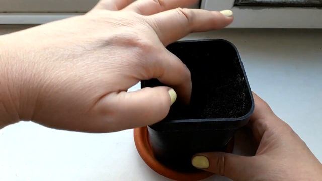 07.04.2022 Посев огурцов на рассаду. смотреть онлайн