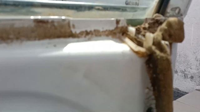 Installing a universal central lock on a TOYOTA Corolla смотреть онлайн