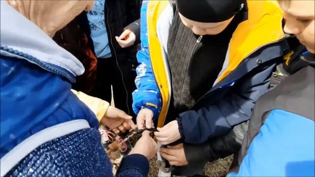 Экскурсия на метеостанцию смотреть онлайн