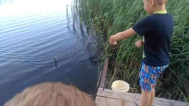 Ловим окуня на резинку смотреть онлайн