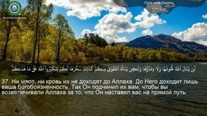 22. _Сура_ ❤️Аль-Хаджж❤️ Мишари Рашид