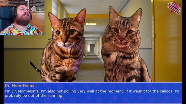 TRUMP-CAT, HYPNO-CAT & PLAYA-CAT | Cat President - A More Purrfect Union #1 смотреть онлайн