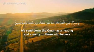 Красивое чтение Корана чтец Омар Хишам