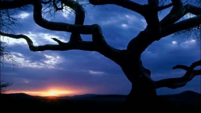 Только раз бывает в жизни встреча - Б.Фомин П.Герман смотреть онлайн