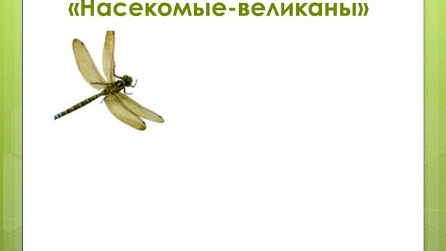 19 мая - Логопедическое занятие "Насекомые" подготовительная группа Дружные ребята смотреть онлайн