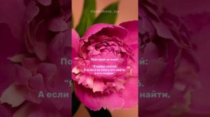 Готовенького не будет. Создавайте!