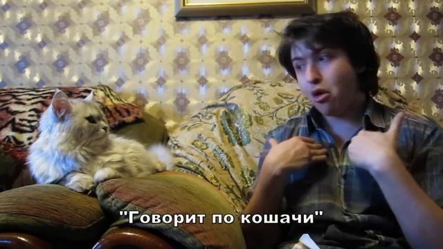 Русско-Кошачий разговорник смотреть онлайн