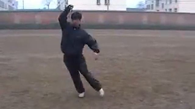 Мягкий кнут бамбукового леса.flv смотреть онлайн