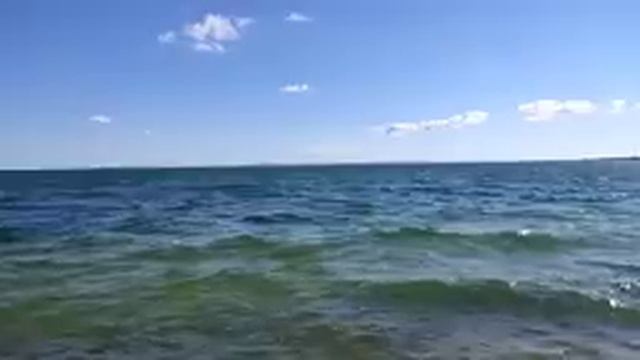 Перовы// Такого тупого равнодушия нет ни у кого//Обзор видео// смотреть онлайн