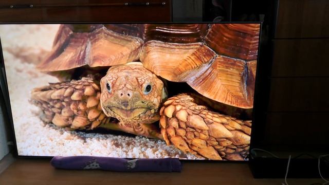 Samsung Qled QE55Q7FAM для Авито смотреть онлайн