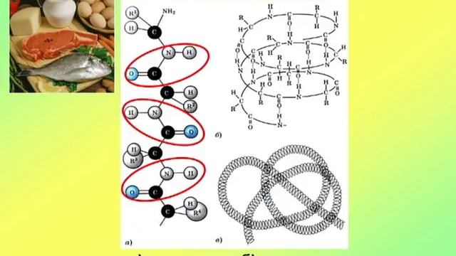 Химии. Аминокислоты и белки смотреть онлайн