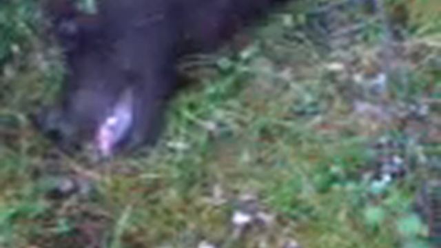 Алкаш Миша ГОК Западный смотреть онлайн