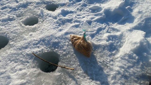 Снова приехал на то место. Ищу белую и хищную рыбу. Взял кошель и балансиры смотреть онлайн