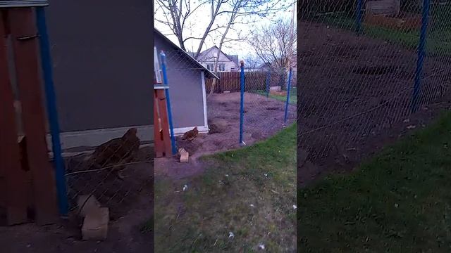 Потеря в хозяйстве.??? смотреть онлайн