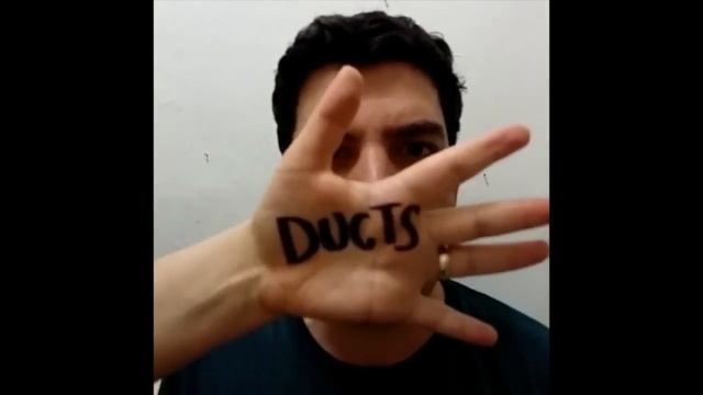 What the Ducts? (Colin G) смотреть онлайн