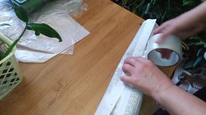 Как легко и быстро упаковать комнатные растения для пересылки .