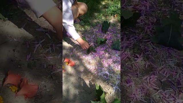 Домик Дача смотреть онлайн