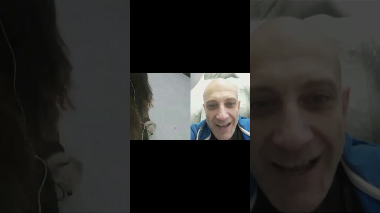 Реакция на других собак смотреть онлайн