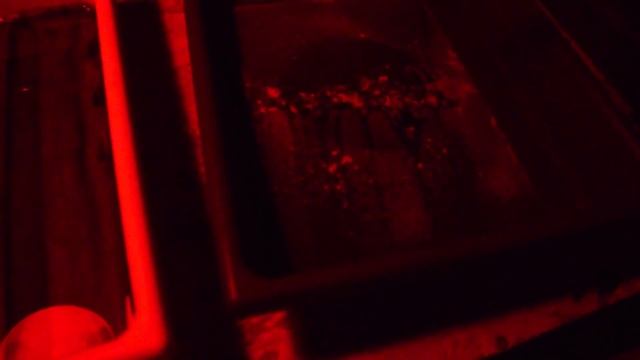 How to make a Chemigram - Darkroom Vlog #01 | Ria Wank смотреть онлайн