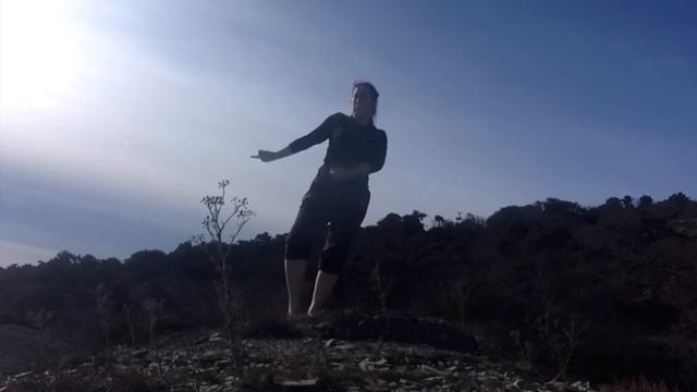 Точка предела