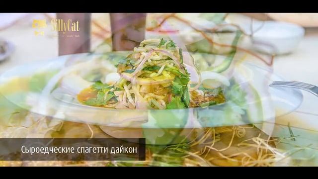Сыроедческое меню Ресторана SillyCat смотреть онлайн