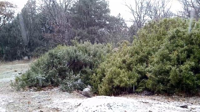 Ласпинский снег. Авторский стих. Пётр Скляров. смотреть онлайн