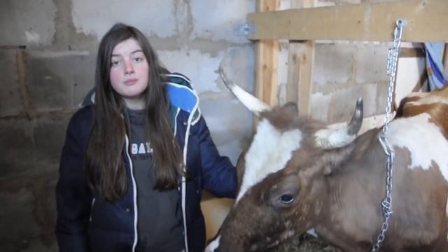 Запуск коровы. Чем кормить корову? смотреть онлайн